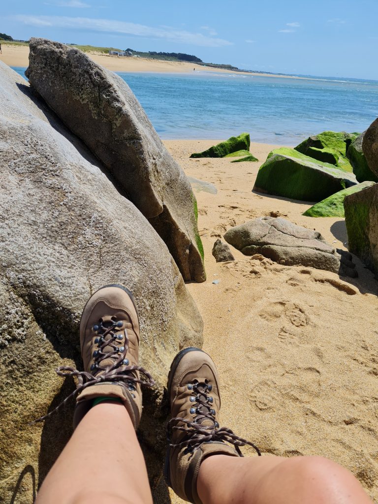 online Lerncoaching Sandra Heymann Chemnitz Ablauf