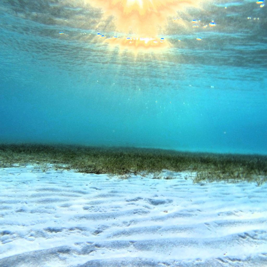 Mathe Nachhilfe Sandra Heymann Chemnitz