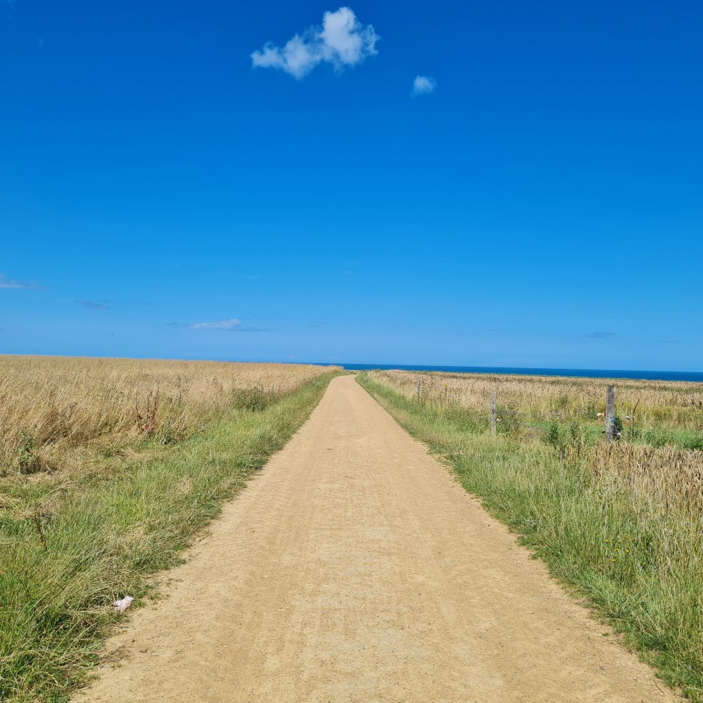 online Berufsorientierung Sandra Heymann Chemnitz
