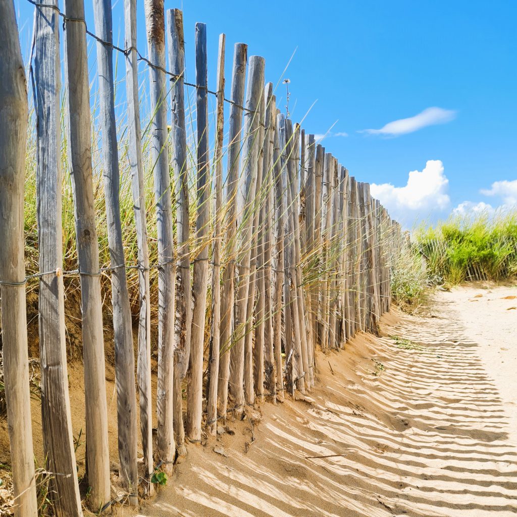 Berufsorientierung Sandra Heymann Chemnitz